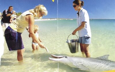 Testimonials 3 Excellent and caring tour guide