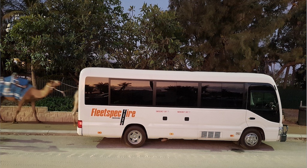 Small Group Coach Tours - Coach with Camels in Broome, Cable Beach