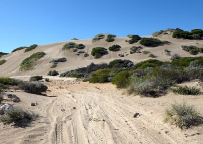 sand dunes of Lancelin north of Perth