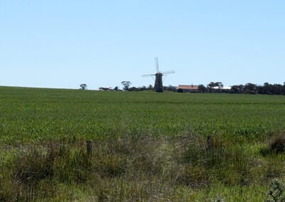 The Lily, Stirling Ranges, Western Australia, Dutch Windmill