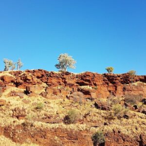 landscape in western australia