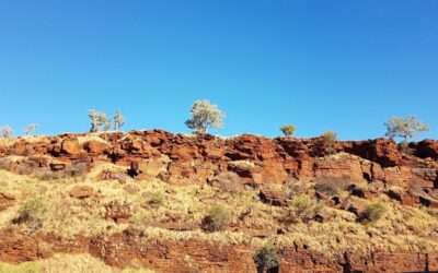 Broome – Darwin – Broome Tour