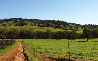 Lancelin – Moore River Estuary | One Day Tour